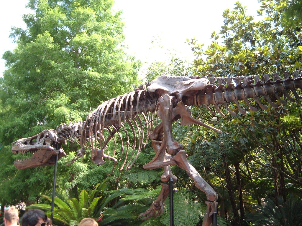 Outside DINOSAUR at Disney's Animal Kingdom, the building Indiana Jones is taking over
