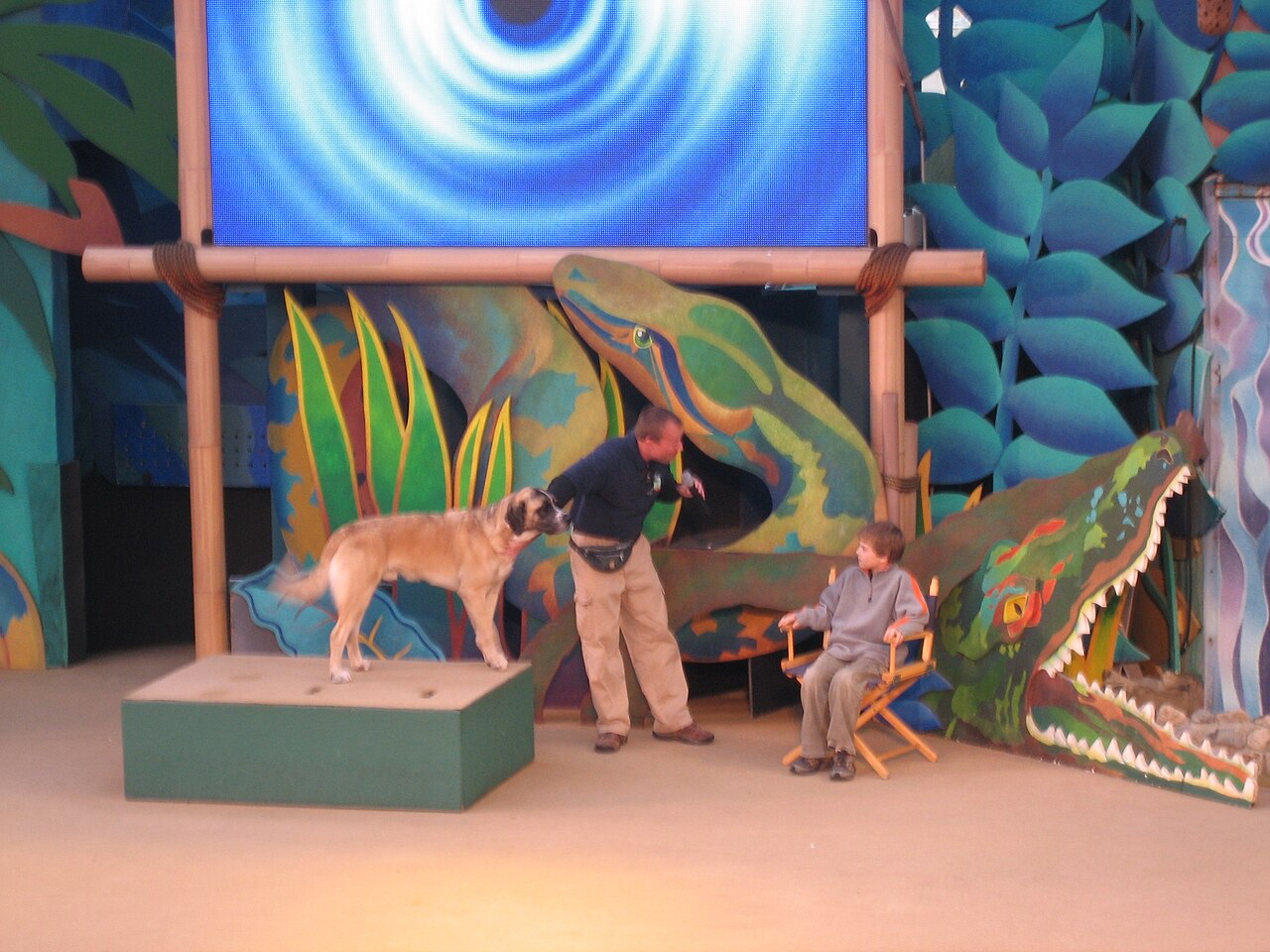 The show during its Animal Planet Live years, in 2006.